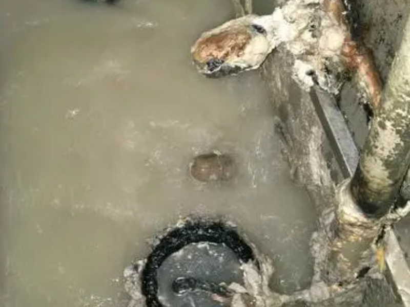瓯海娄桥清理隔油池—矍溪专车抽粪 市政管道清淤疏通