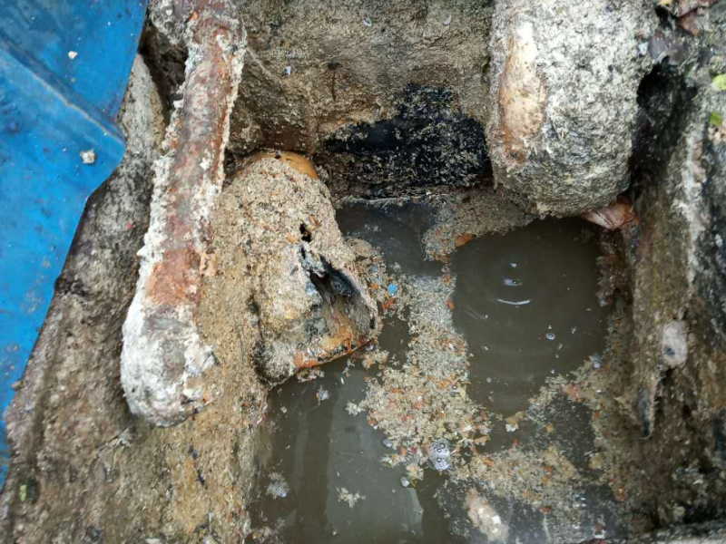 温州瓯海仙岩专车清理化粪池,污水井,抽粪,清洗管道